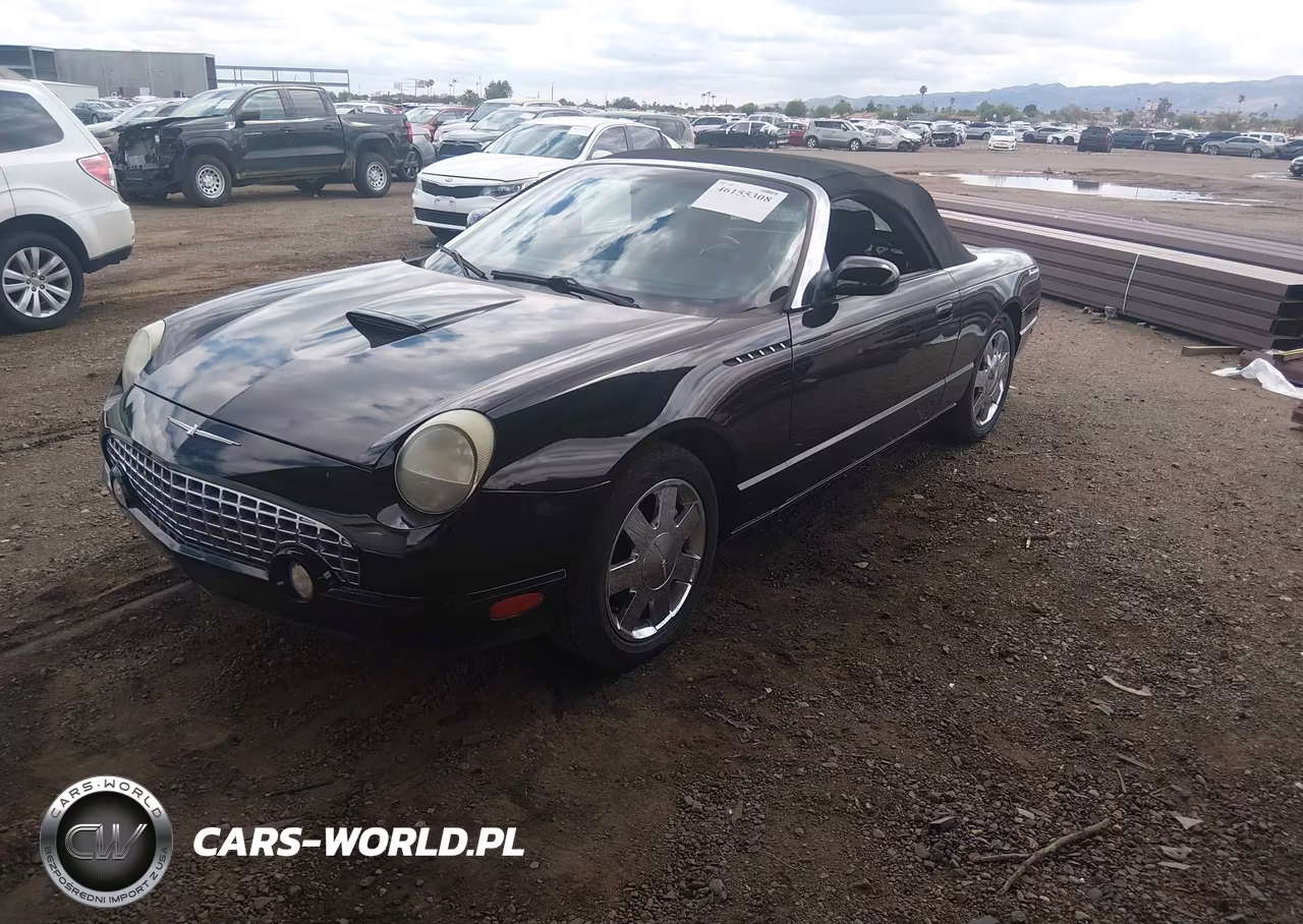 2002 Ford Thunderbird VIN:1FAHP60A82Y110878 - 2