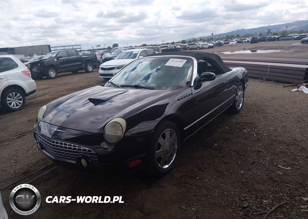 2002 Ford Thunderbird VIN:1FAHP60A82Y110878 - 6