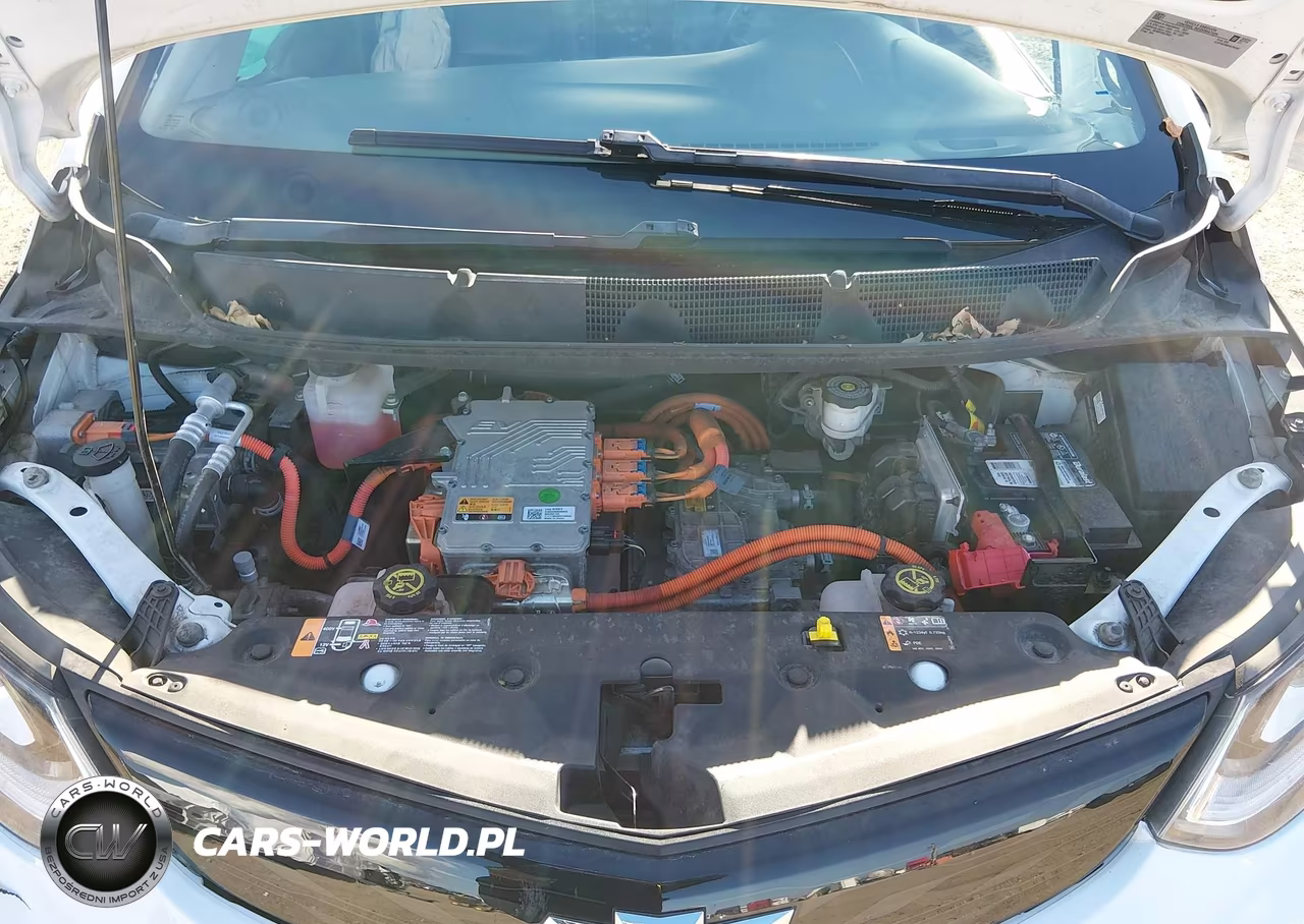 2017 Chevrolet Bolt Ev Premier VIN:1G1FX6S06H4179440 - 10