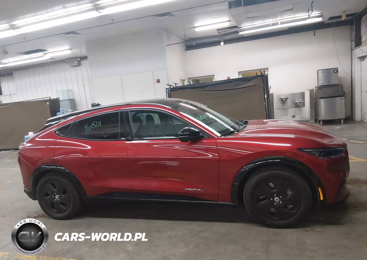 2021 Ford Mustang Mach-E California Route 1 VIN:3FMTK2R78MMA36410 - 13