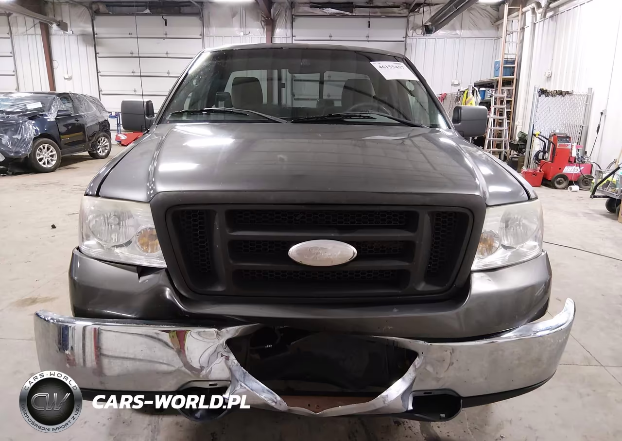 2006 Ford F-150 Stx-Xl-Xlt VIN:1FTRF12296NB38738 - 13