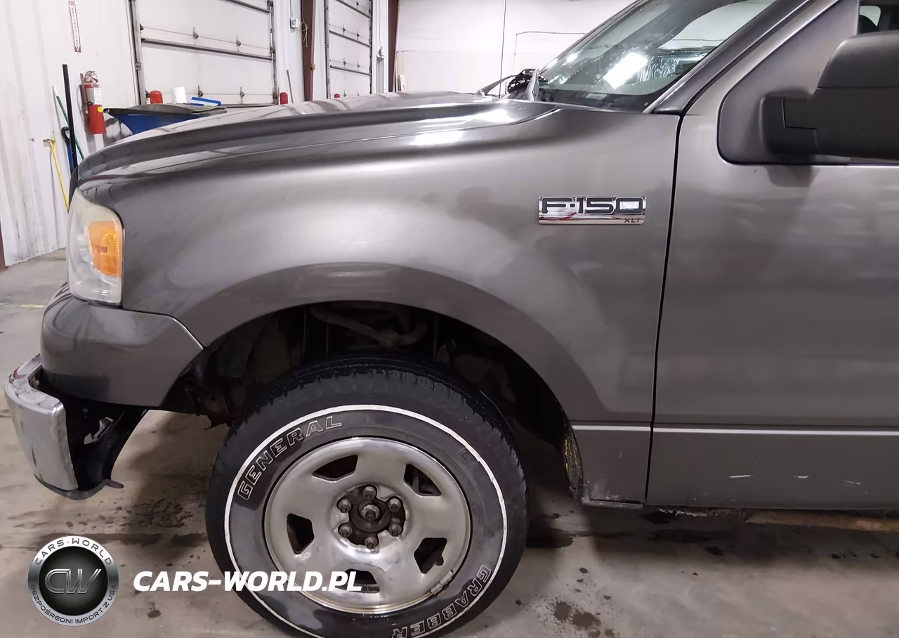 2006 Ford F-150 Stx-Xl-Xlt VIN:1FTRF12296NB38738 - 19