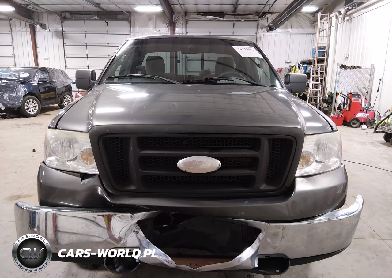 2006 Ford F-150 Stx-Xl-Xlt VIN:1FTRF12296NB38738 - 6