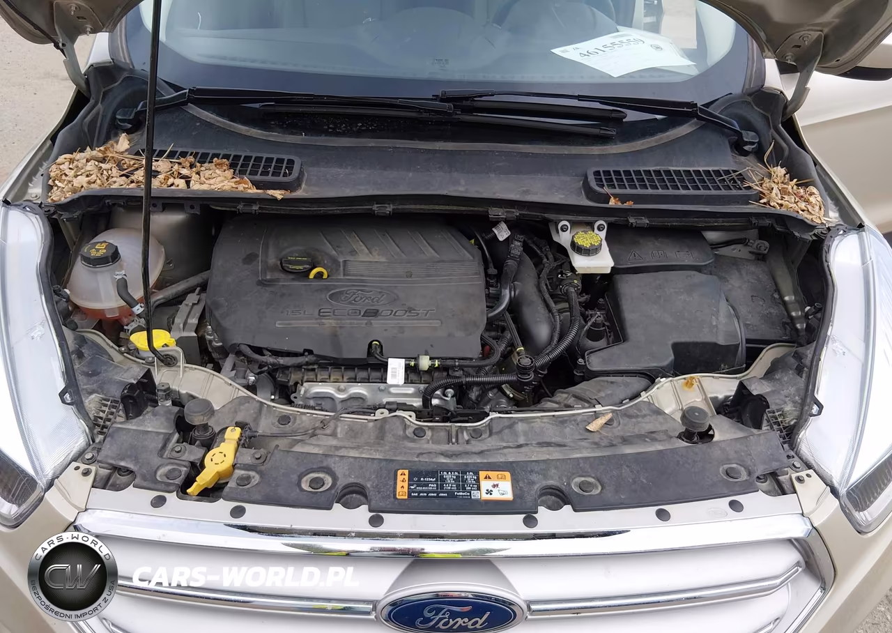 2018 Ford Escape Se VIN:1FMCU9GD5JUC38849 - 10