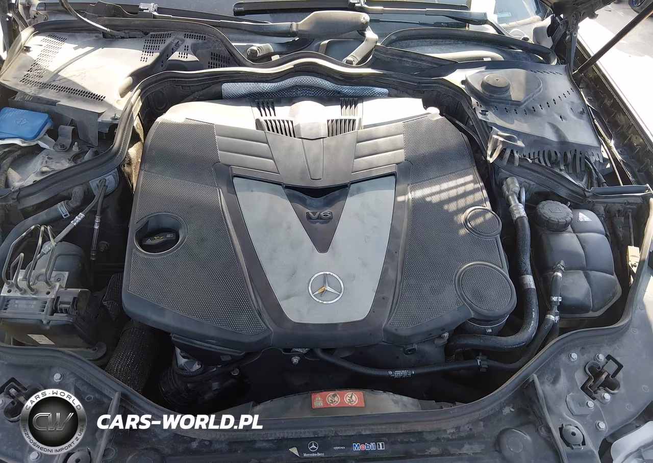 2009 Mercedes-Benz E 320 Bluetec VIN:WDBUF22X39B360482 - 10