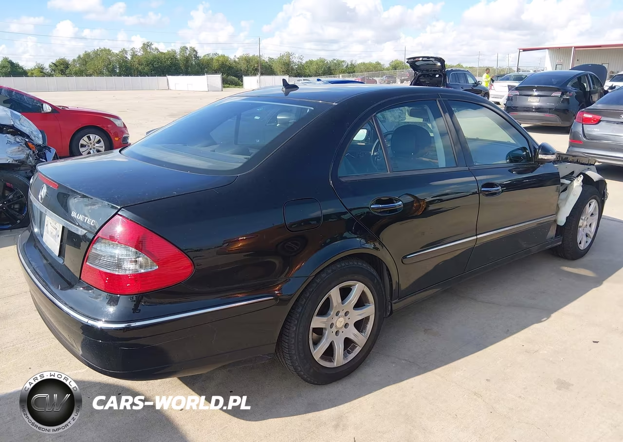 2009 Mercedes-Benz E 320 Bluetec VIN:WDBUF22X39B360482 - 4