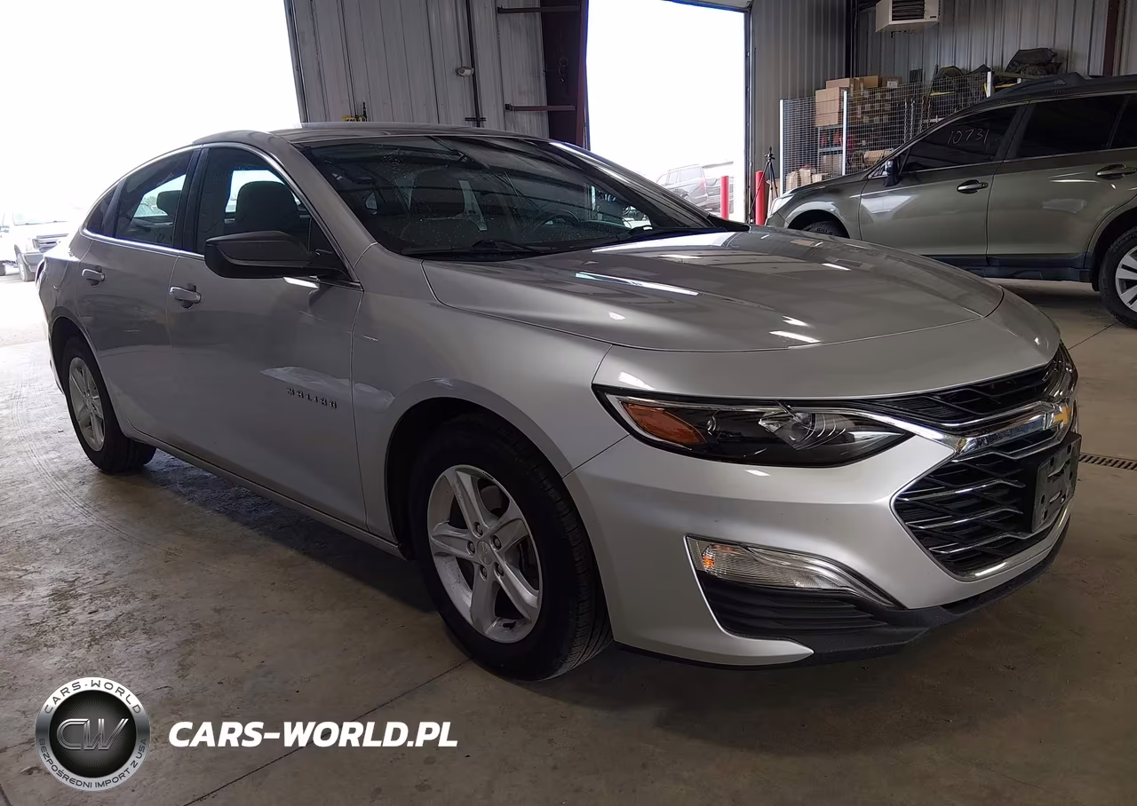 2020 Chevrolet Malibu Fwd 1Fl VIN:1G1ZC5ST0LF000349 - 1