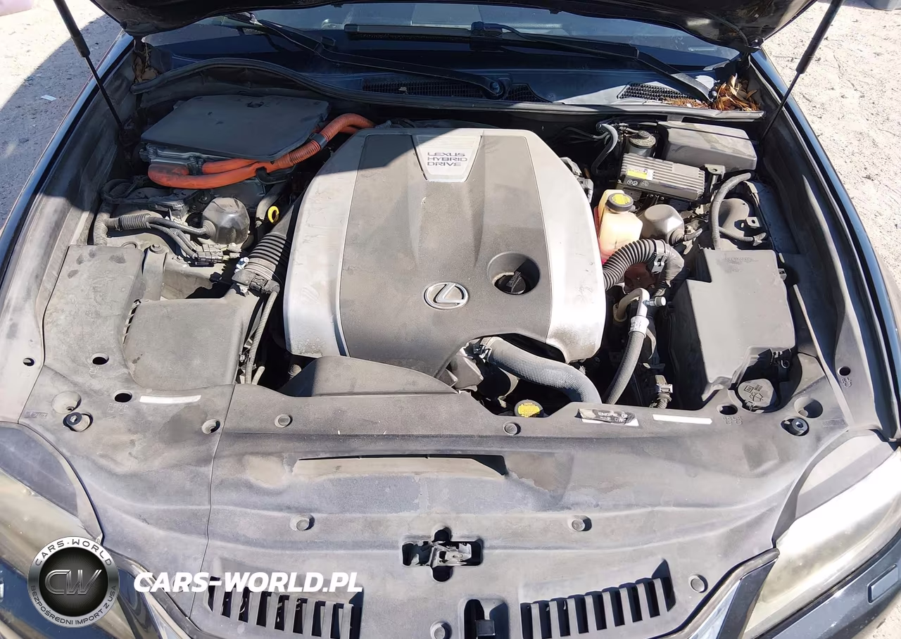 2013 Lexus Gs 450H VIN:JTHBS1BL7D5005381 - 10