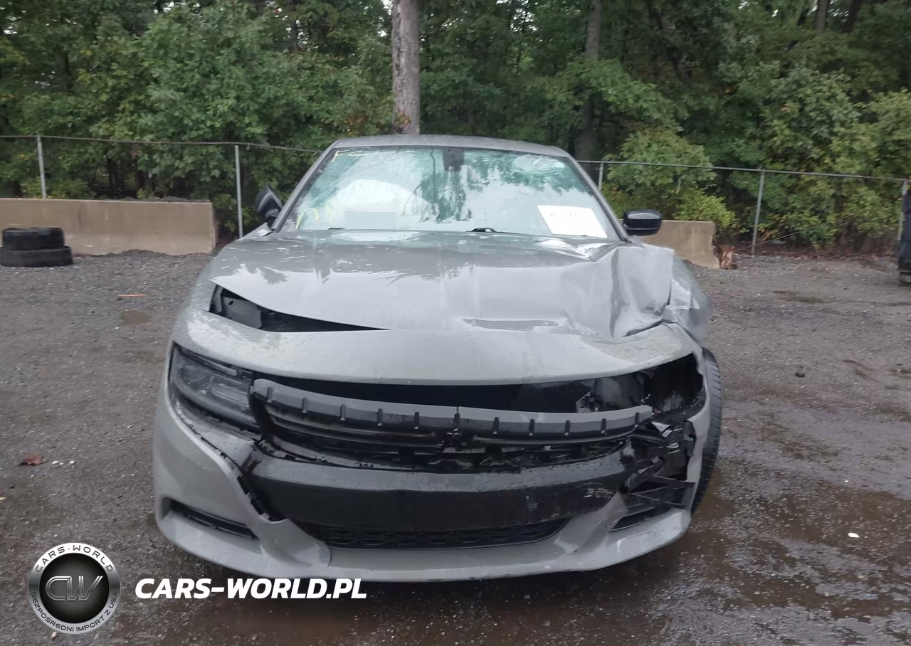2019 Dodge Charger Sxt Rwd VIN:2C3CDXBG2KH700304 - 13