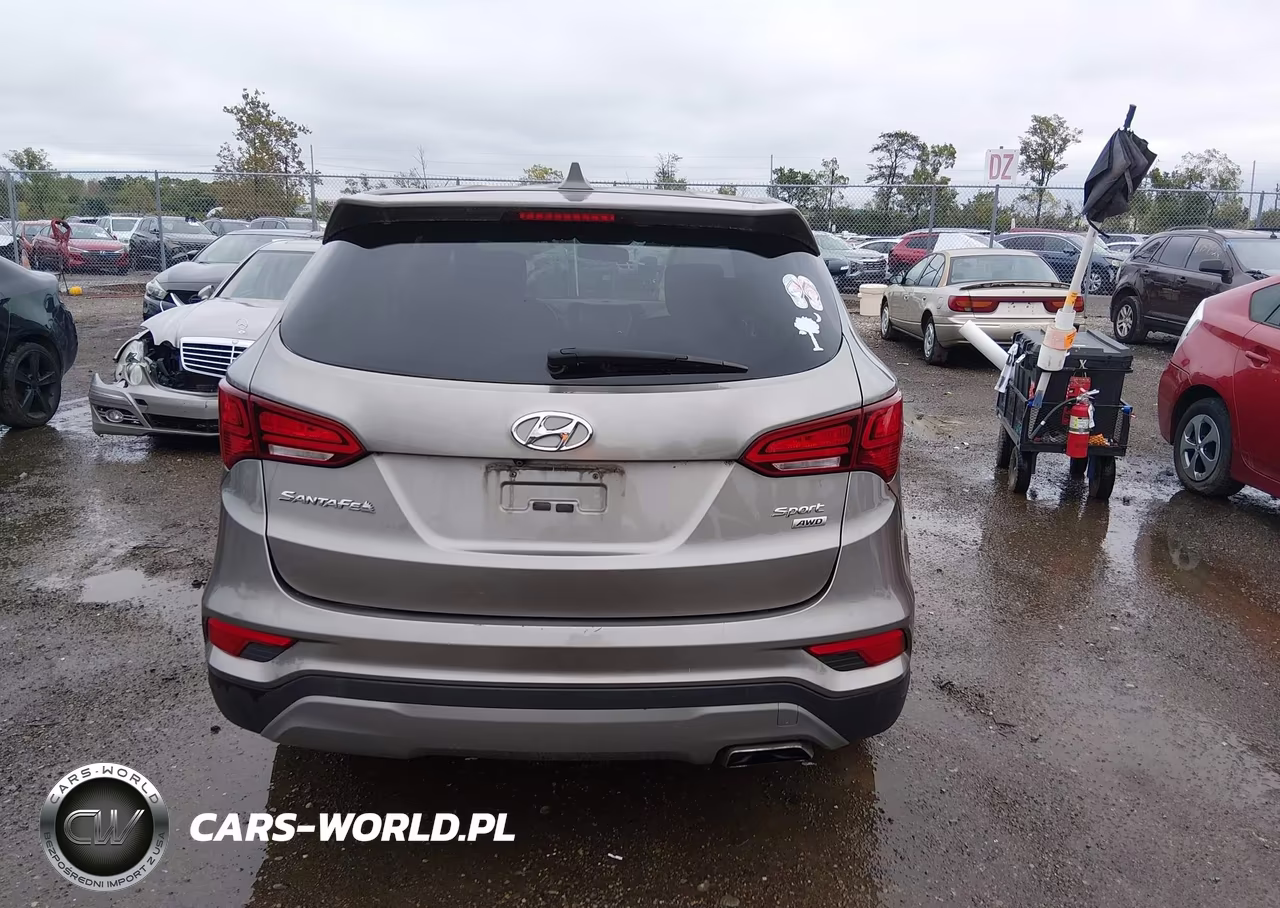 2017 Hyundai Santa Fe Sport 2.4L VIN:5XYZTDLB3HG391072 - 16