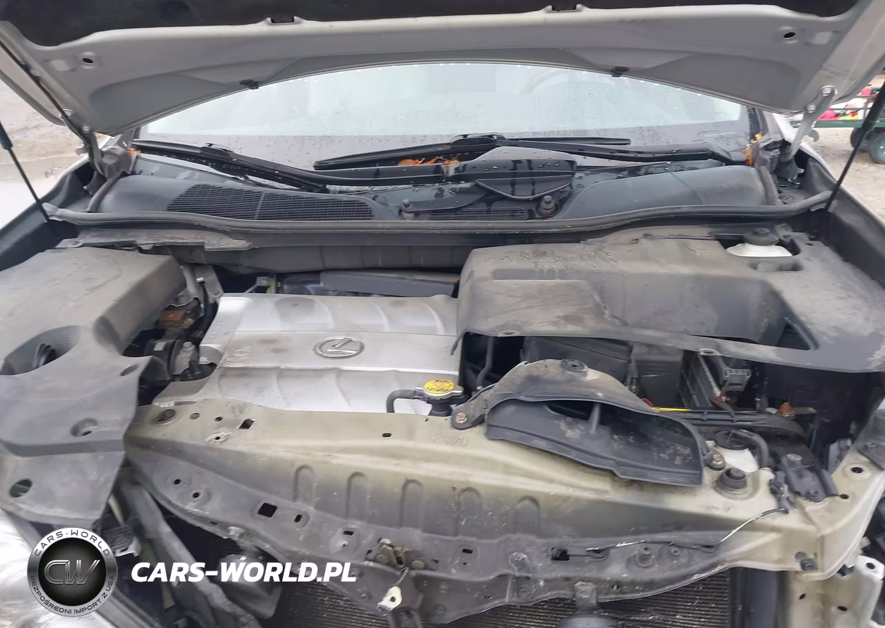 2010 Lexus Rx 350 VIN:2T2BK1BA6AC029231 - 10