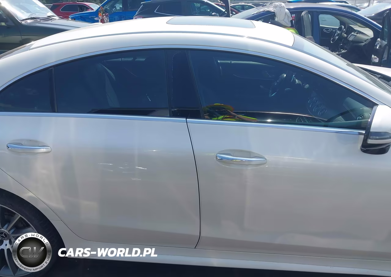 2019 Mercedes-Benz Cls 450 VIN:WDD2J5JB8KA018476 - 13