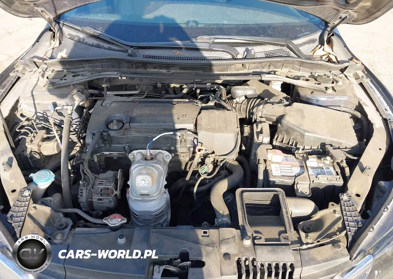 2014 Honda Accord Ex-L VIN:1HGCR2F81EA289484 - 10