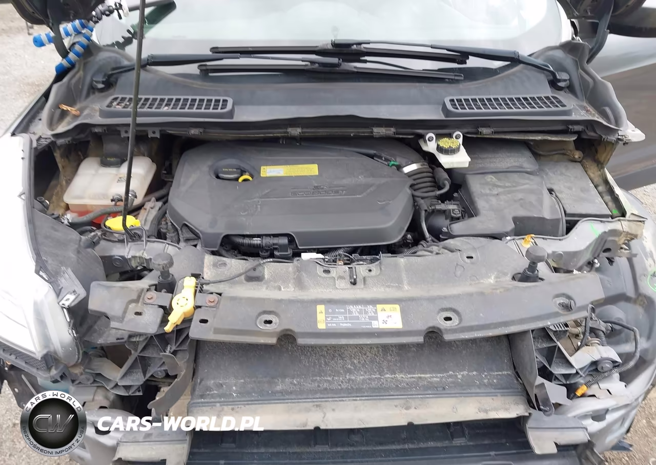 2013 Ford Escape Se VIN:1FMCU0GX9DUB37582 - 10