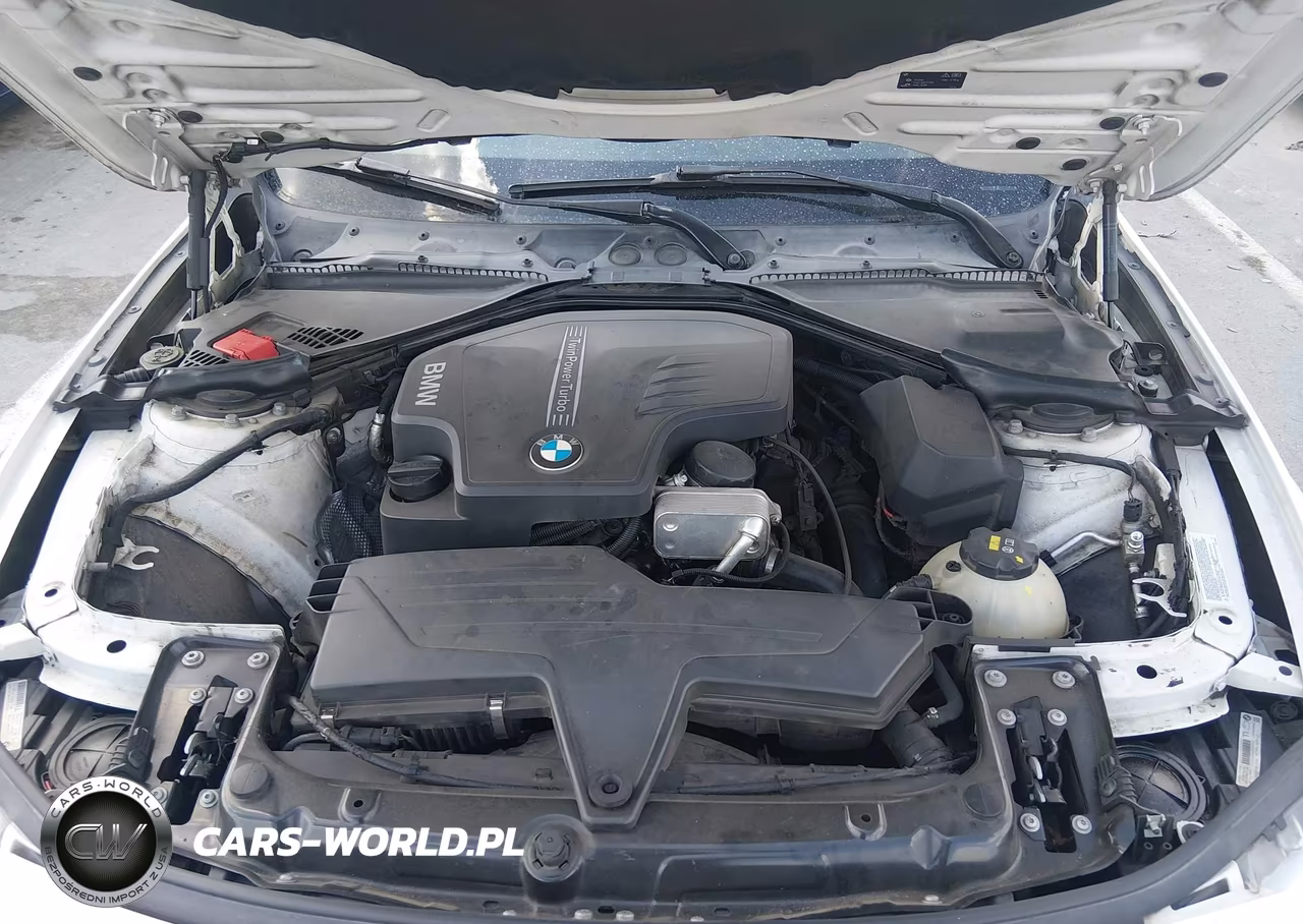 2015 BMW 328 I SULE SULEV VIN:WBA3C1C51FK120871 - 10