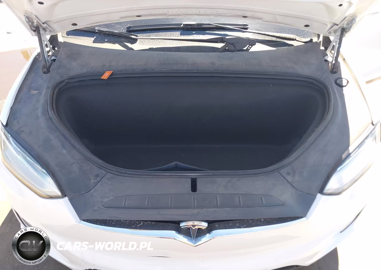 2020 Tesla Model X Long Range Dual Motor All-Wheel Drive-Long Range Plus Dual Motor All-Wheel Drive VIN:5YJXCAE24LF239384 - 10