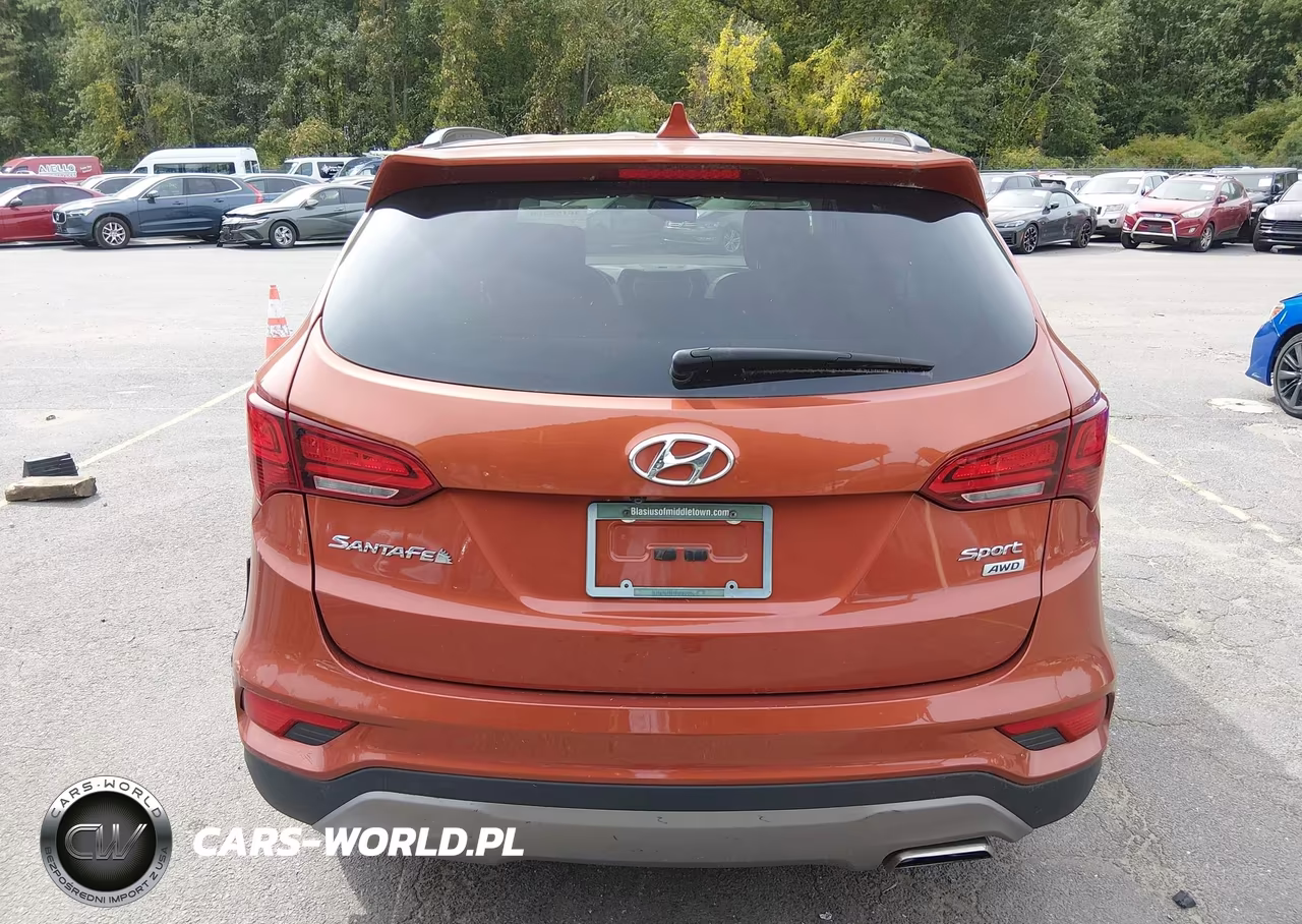 2017 Hyundai Santa Fe Sport 2.4L VIN:5XYZUDLB7HG489003 - 17