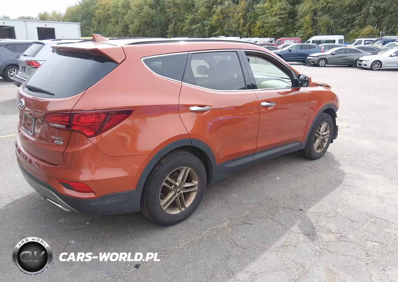 2017 Hyundai Santa Fe Sport 2.4L VIN:5XYZUDLB7HG489003 - 4