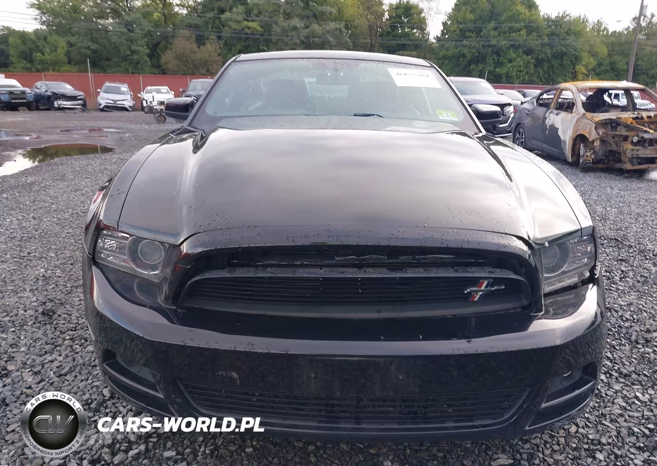 2014 Ford Mustang V6 VIN:1ZVBP8AM9E5280383 - 12