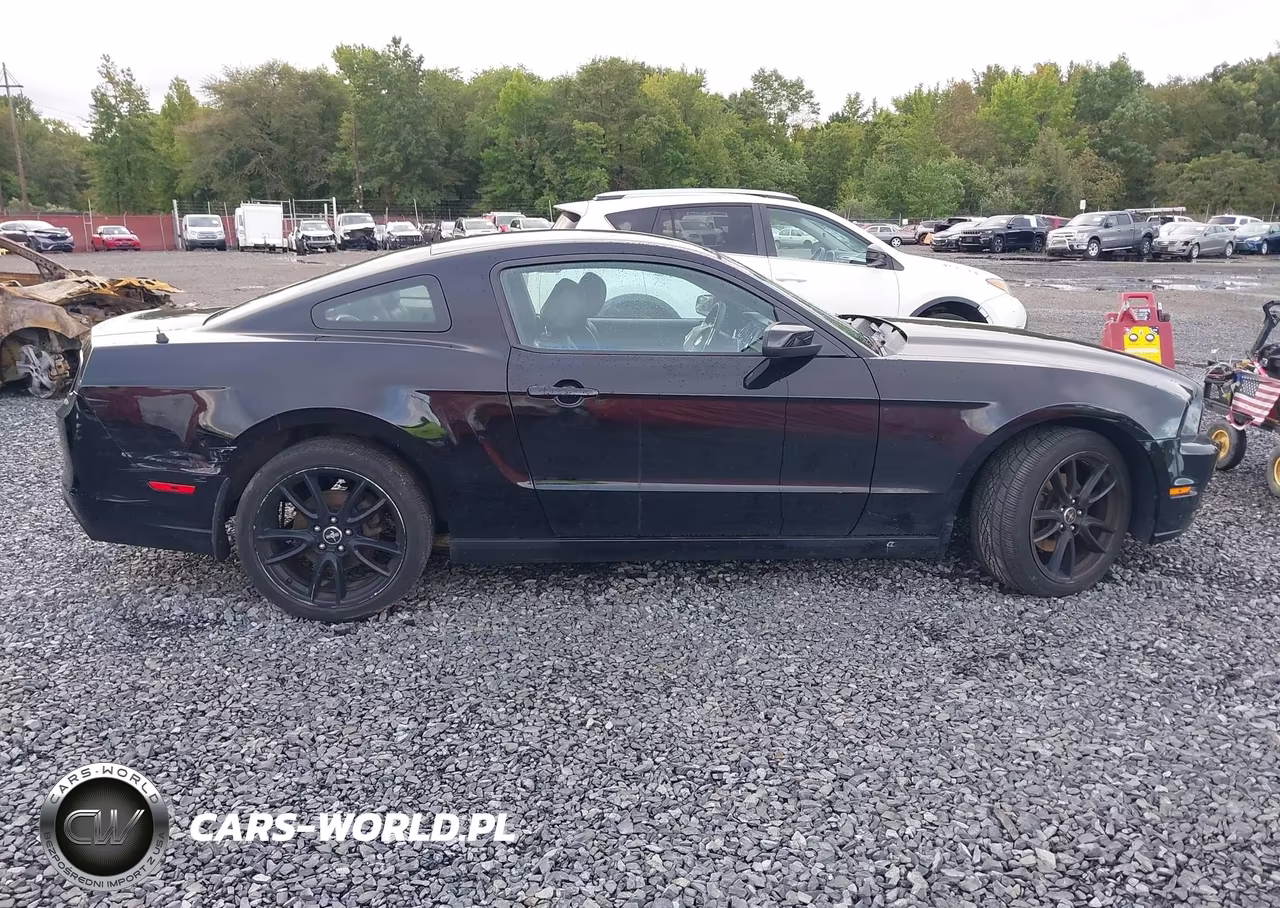 2014 Ford Mustang V6 VIN:1ZVBP8AM9E5280383 - 13
