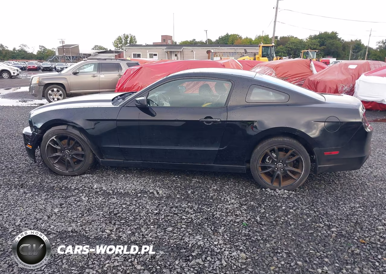 2014 Ford Mustang V6 VIN:1ZVBP8AM9E5280383 - 14