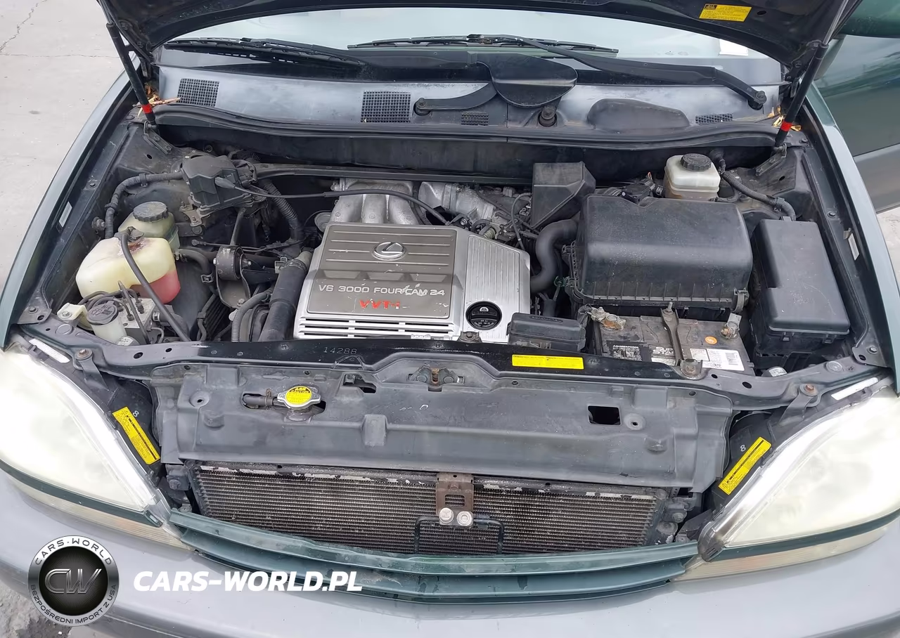 2001 Lexus Rx 300 VIN:JTJHF10U510183081 - 10