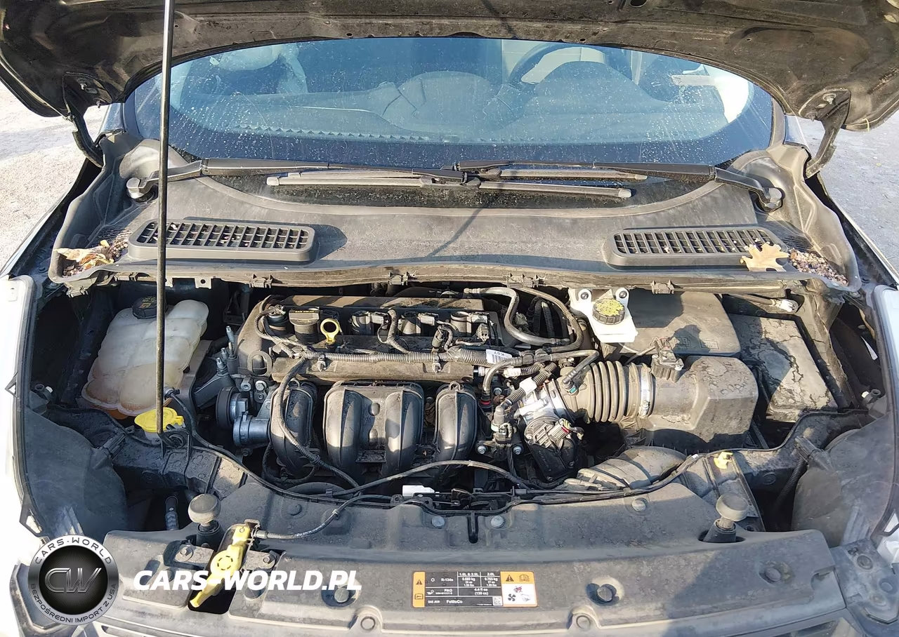2016 Ford Escape Se VIN:1FMCU0G79GUA52729 - 10