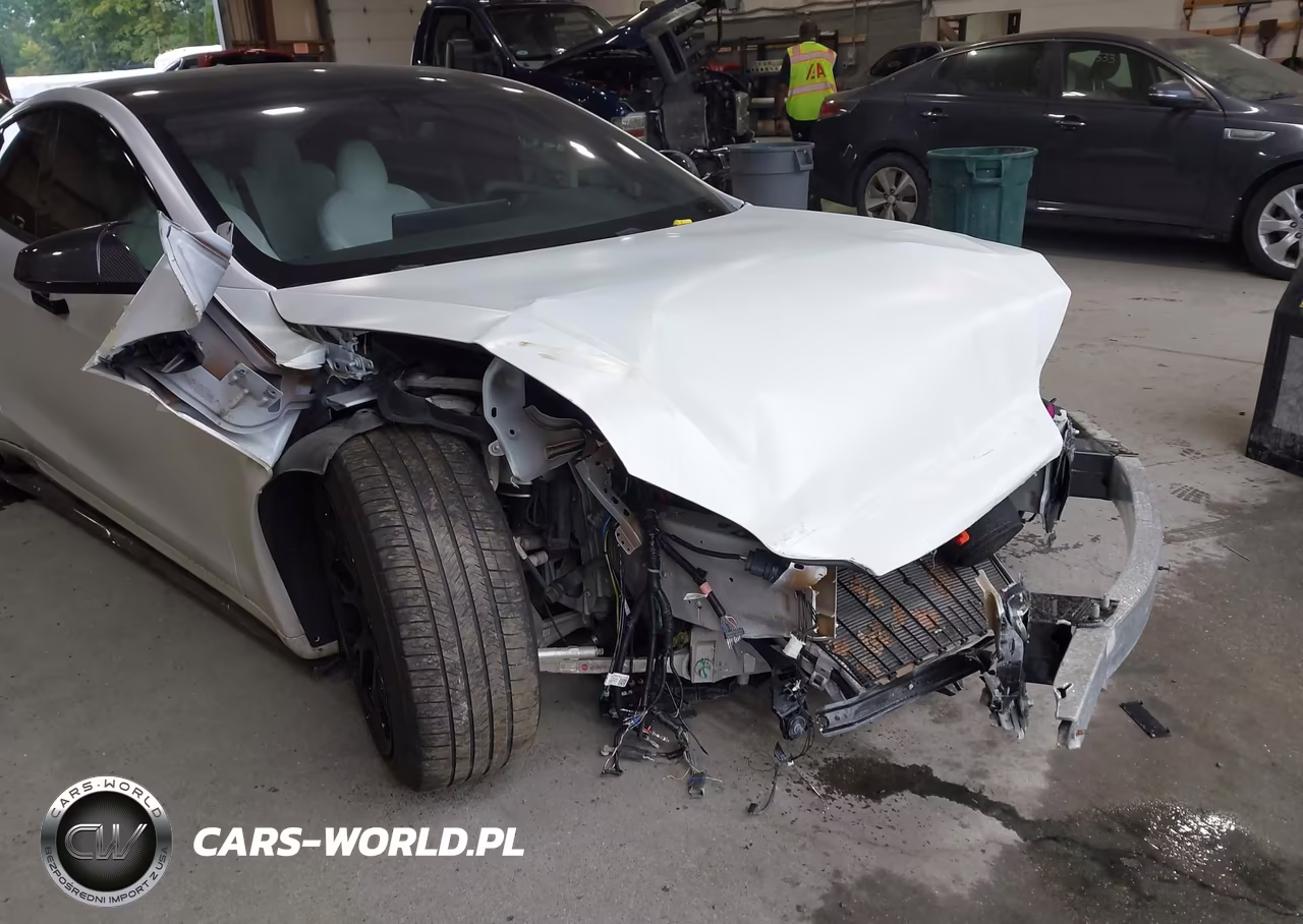 2022 Tesla Model S Plaid Tri Motor All-Wheel Drive VIN:5YJSA1E61NF460270 - 6