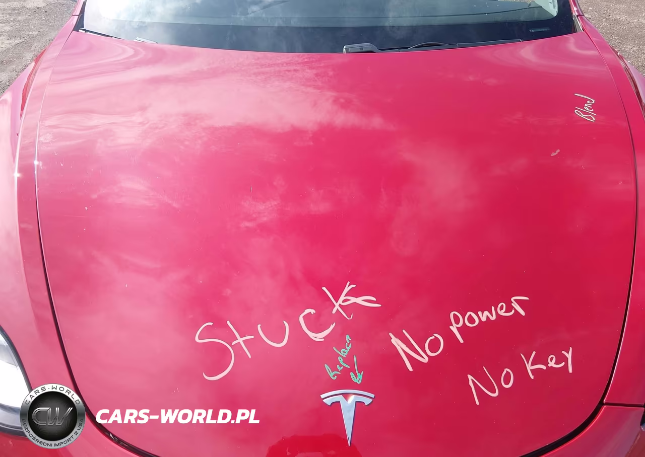 2019 Tesla Model 3 Long Range-Performance VIN:5YJ3E1EB1KF365452 - 10