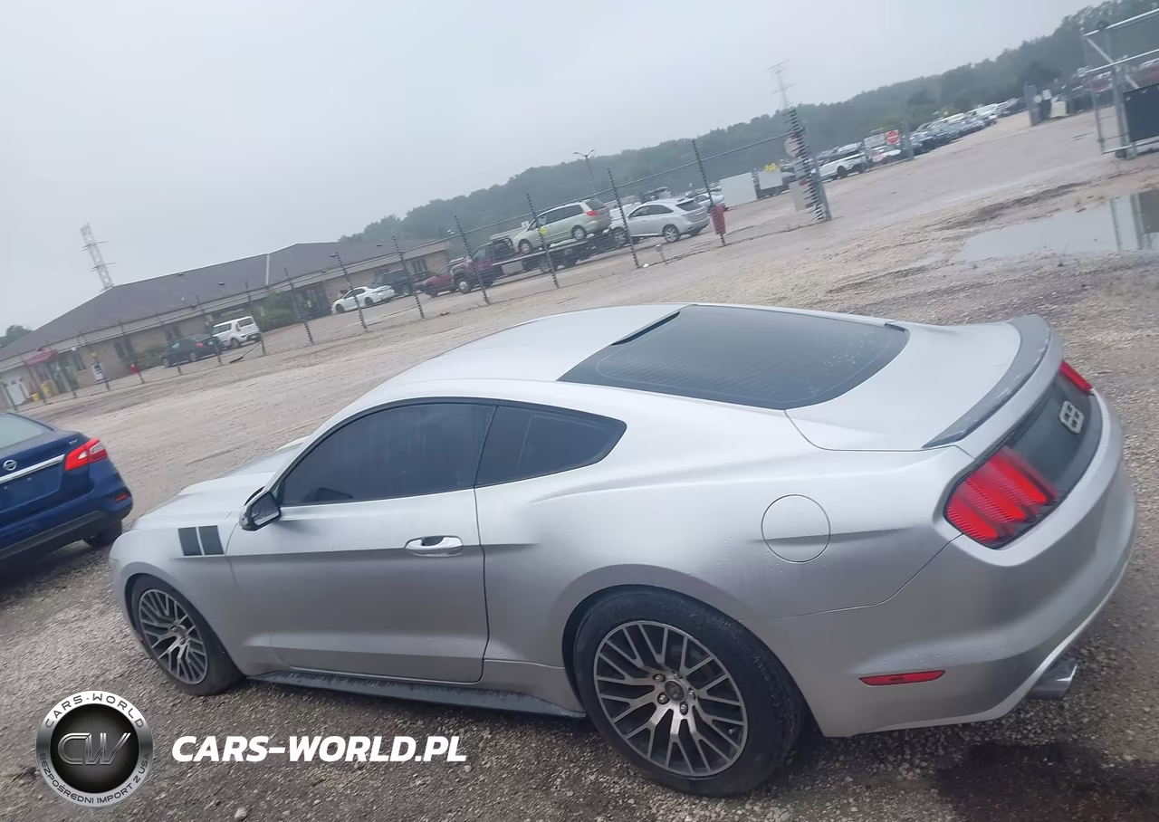 2017 Ford Mustang VIN:1FA6P8TH6H5305352 - 14