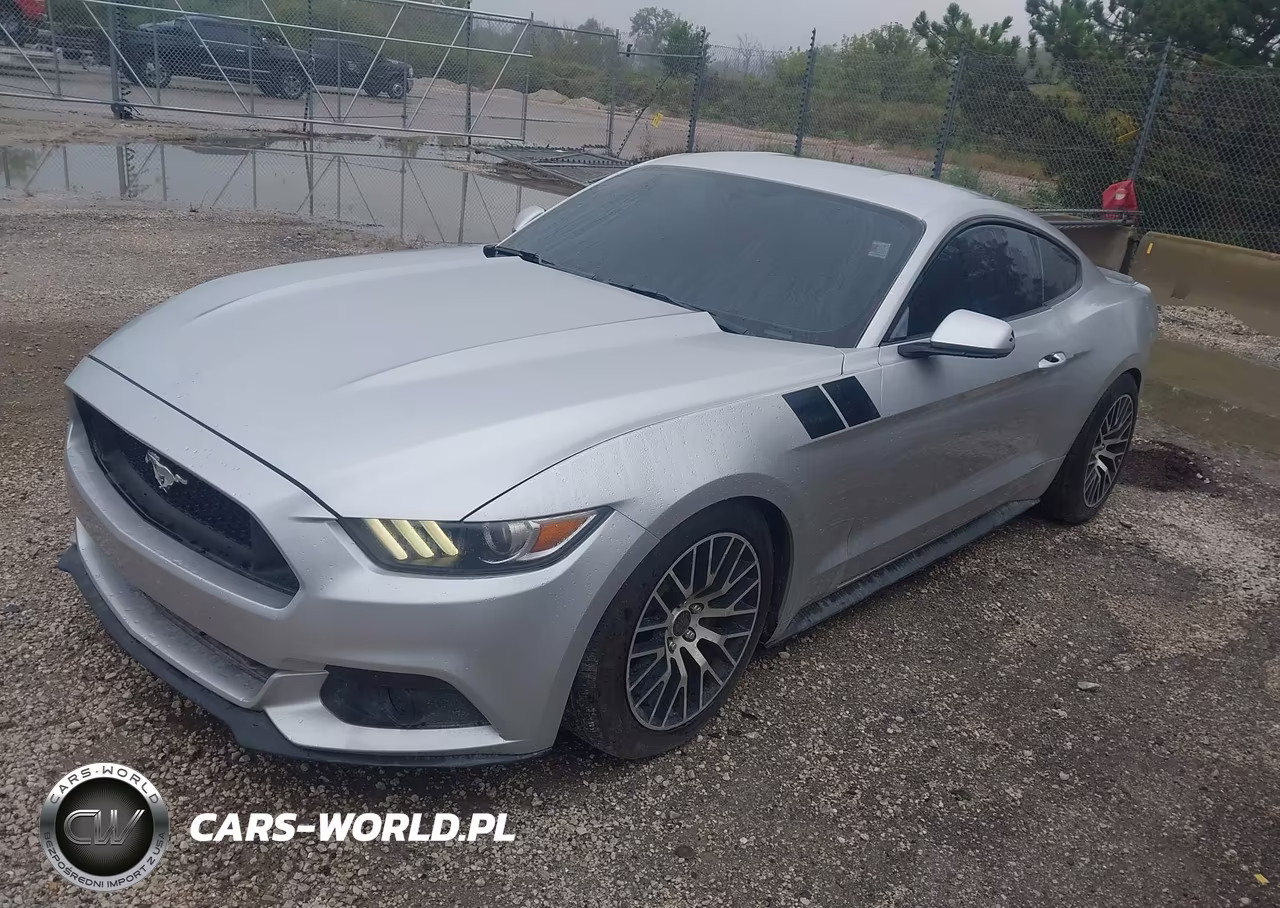 2017 Ford Mustang VIN:1FA6P8TH6H5305352 - 2