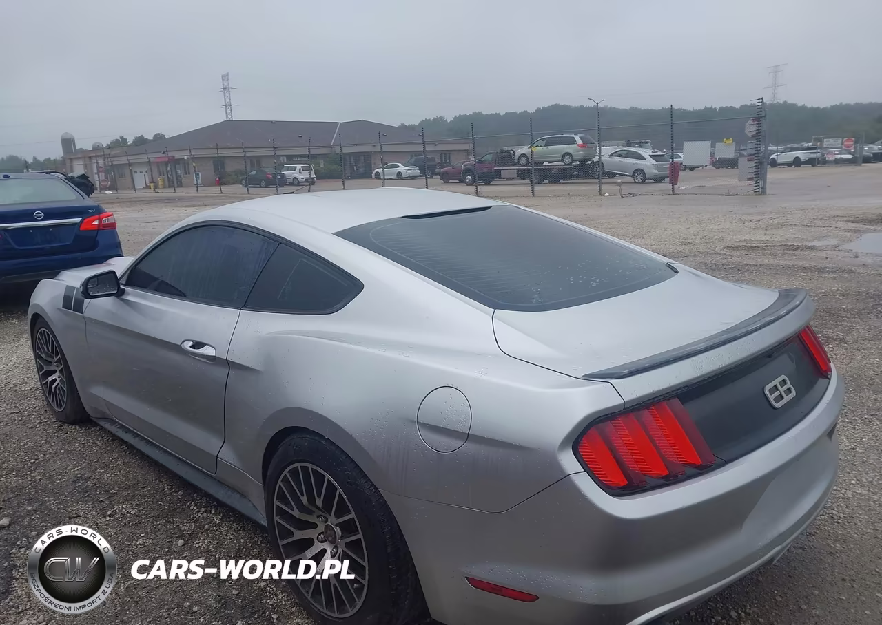 2017 Ford Mustang VIN:1FA6P8TH6H5305352 - 3