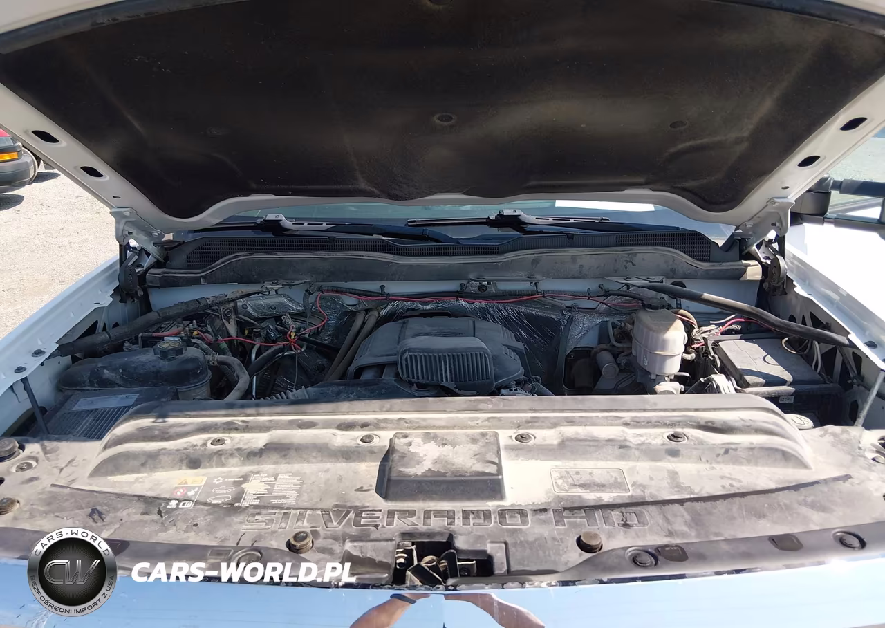 2018 Chevrolet Silverado 3500Hd Wt VIN:1GC4KYCG3JF273161 - 10