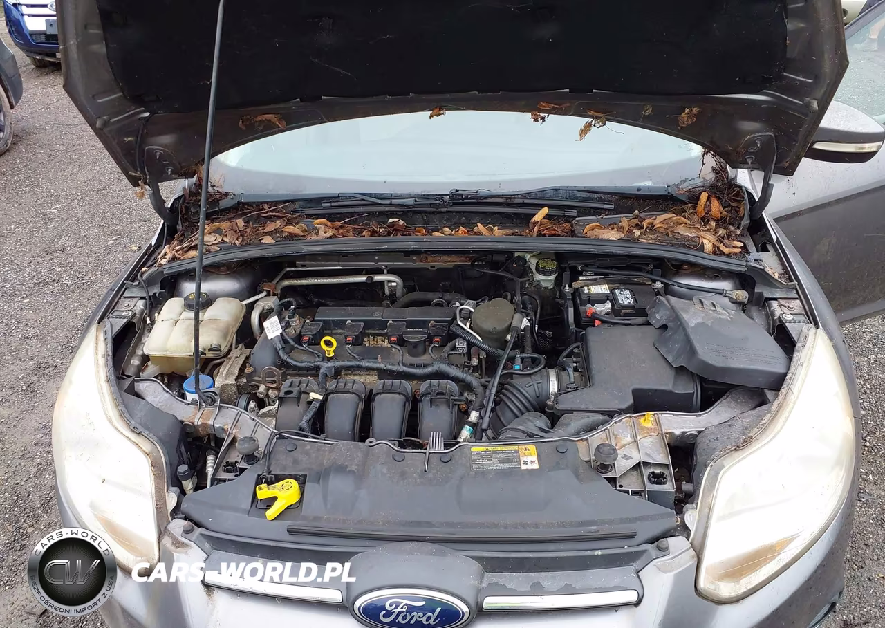 2014 Ford Focus Se VIN:1FADP3K25EL154020 - 10