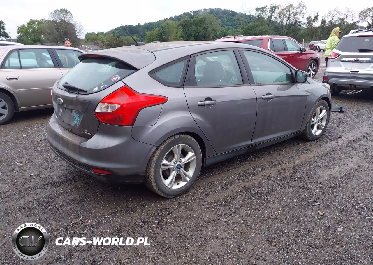 2014 Ford Focus Se VIN:1FADP3K25EL154020 - 4