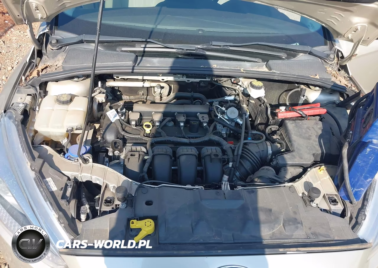 2017 Ford Focus Se VIN:1FADP3F2XHL342269 - 10