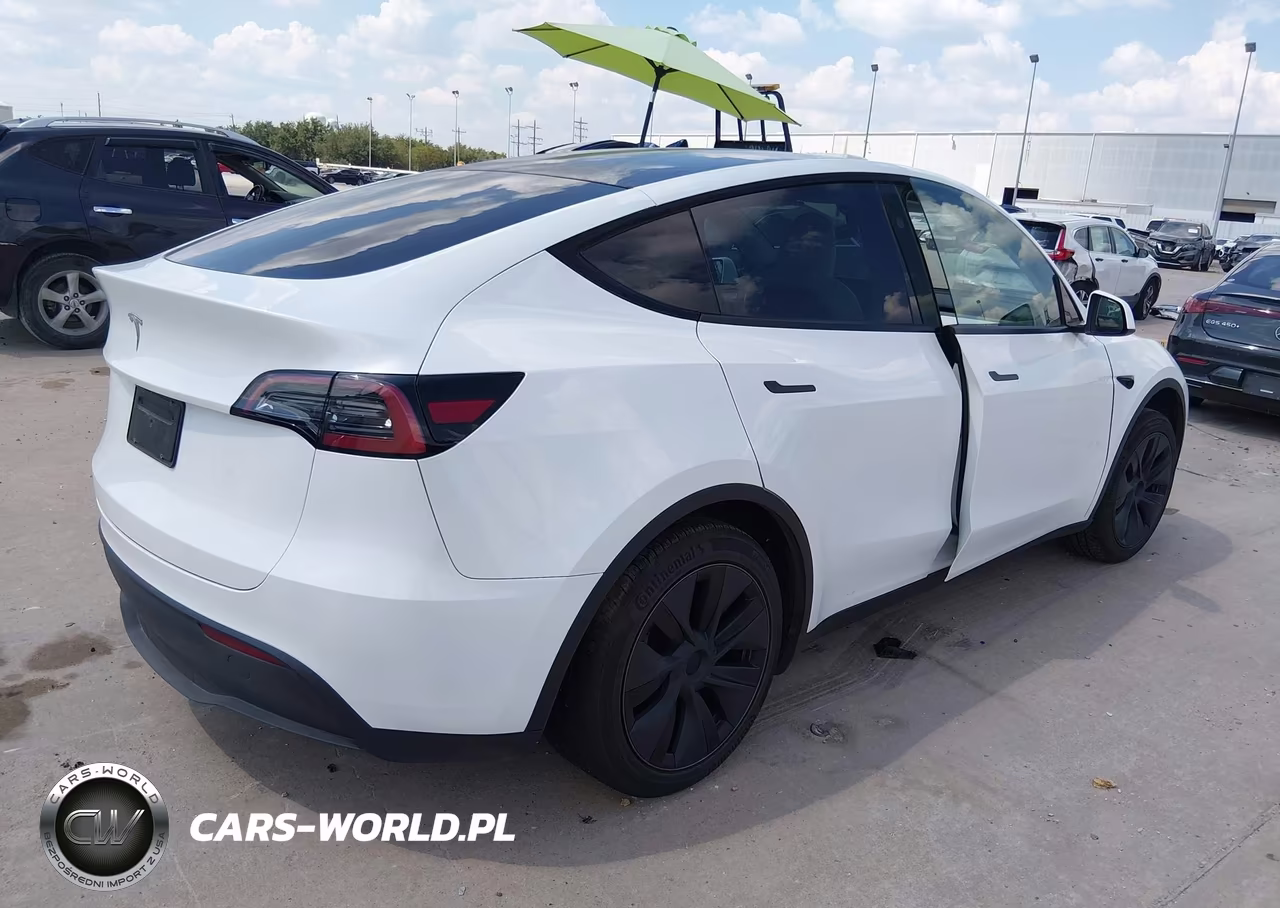 2024 Tesla Model Y Long Range Single Motor Rear-Wheel Drive-Rwd VIN:7SAYGDED9RA331997 - 4