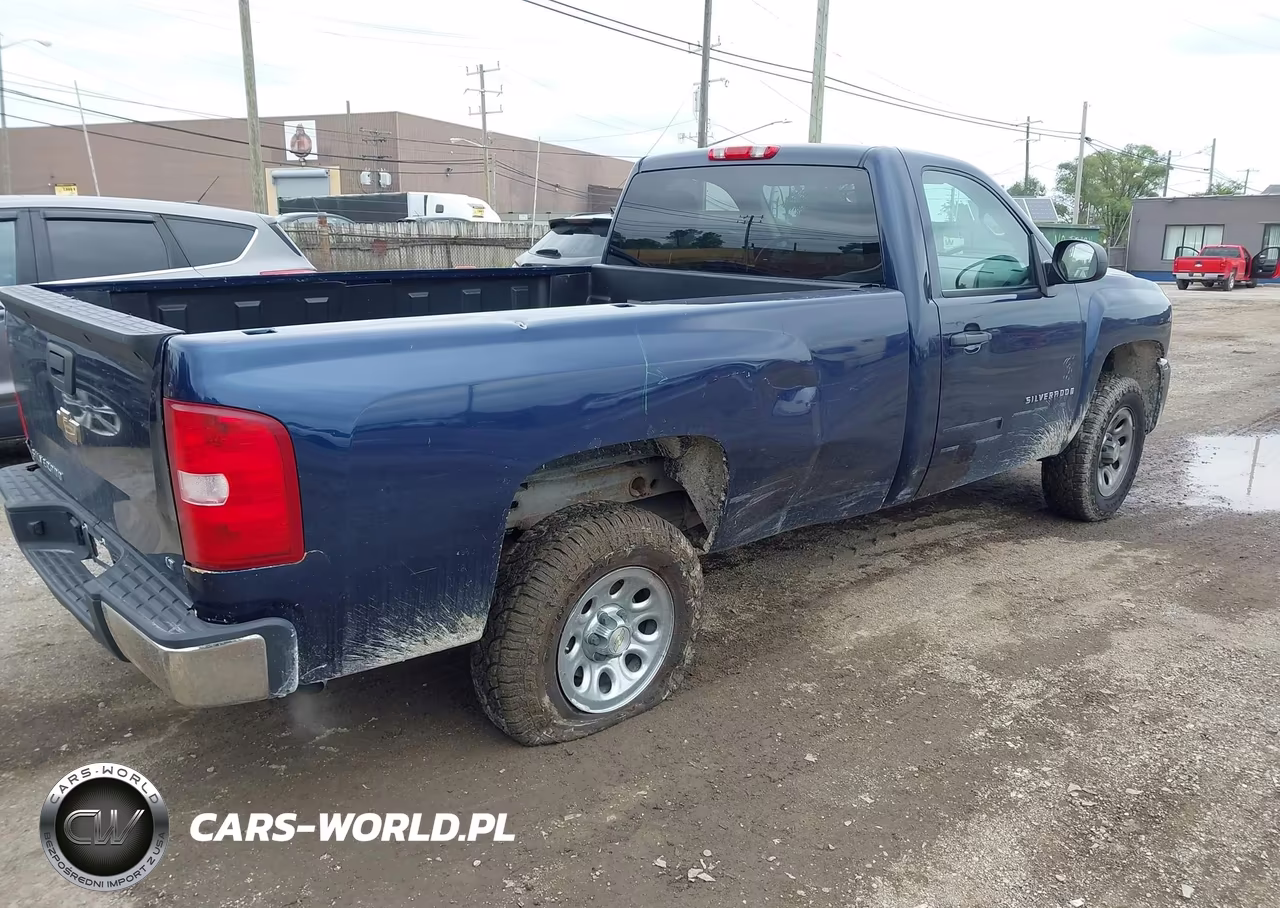2009 Chevrolet Silverado 1500 Lt VIN:1GCEC24J39Z239899 - 4