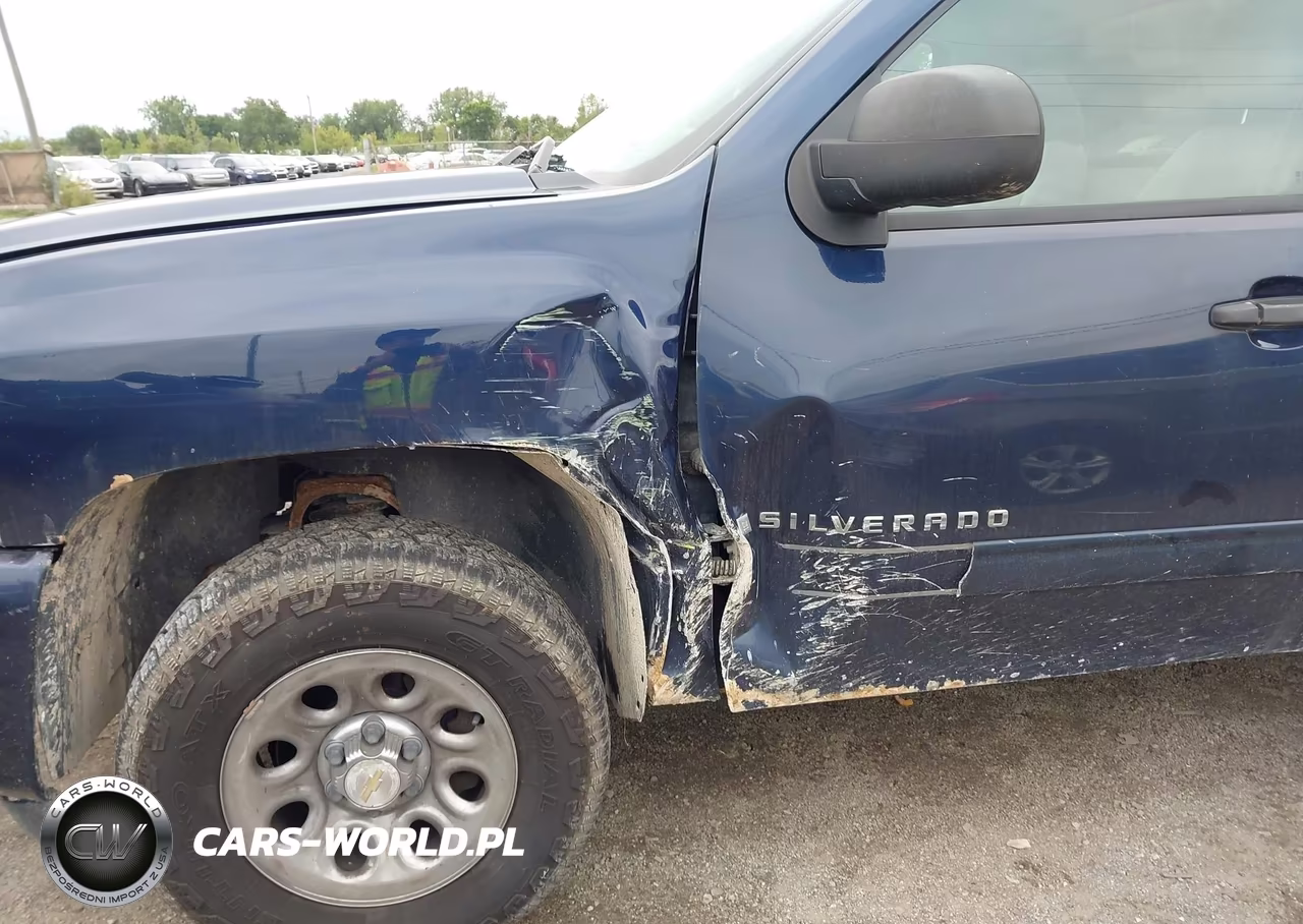 2009 Chevrolet Silverado 1500 Lt VIN:1GCEC24J39Z239899 - 6