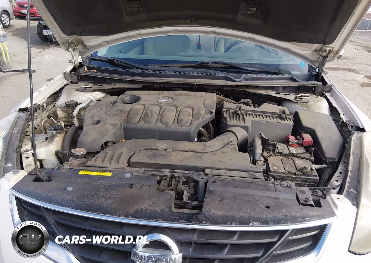 2010 Nissan Altima 2.5 S VIN:1N4AL2EP1AC184965 - 10