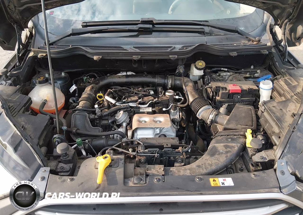 2020 Ford Ecosport Se VIN:MAJ3S2GEXLC314882 - 10