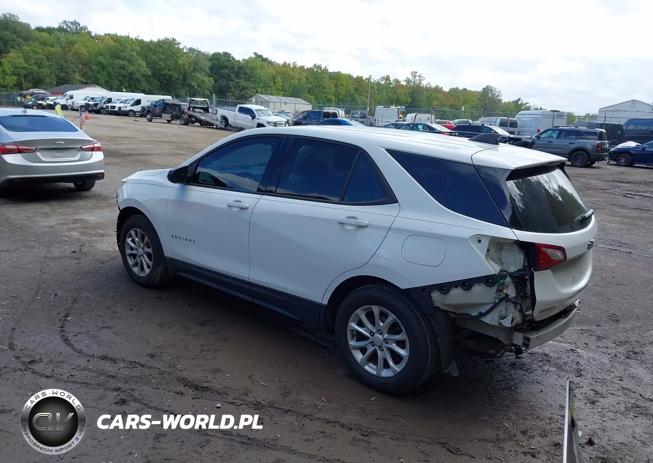 2018 Chevrolet Equinox Ls VIN:3GNAXHEV6JS505917 - 3