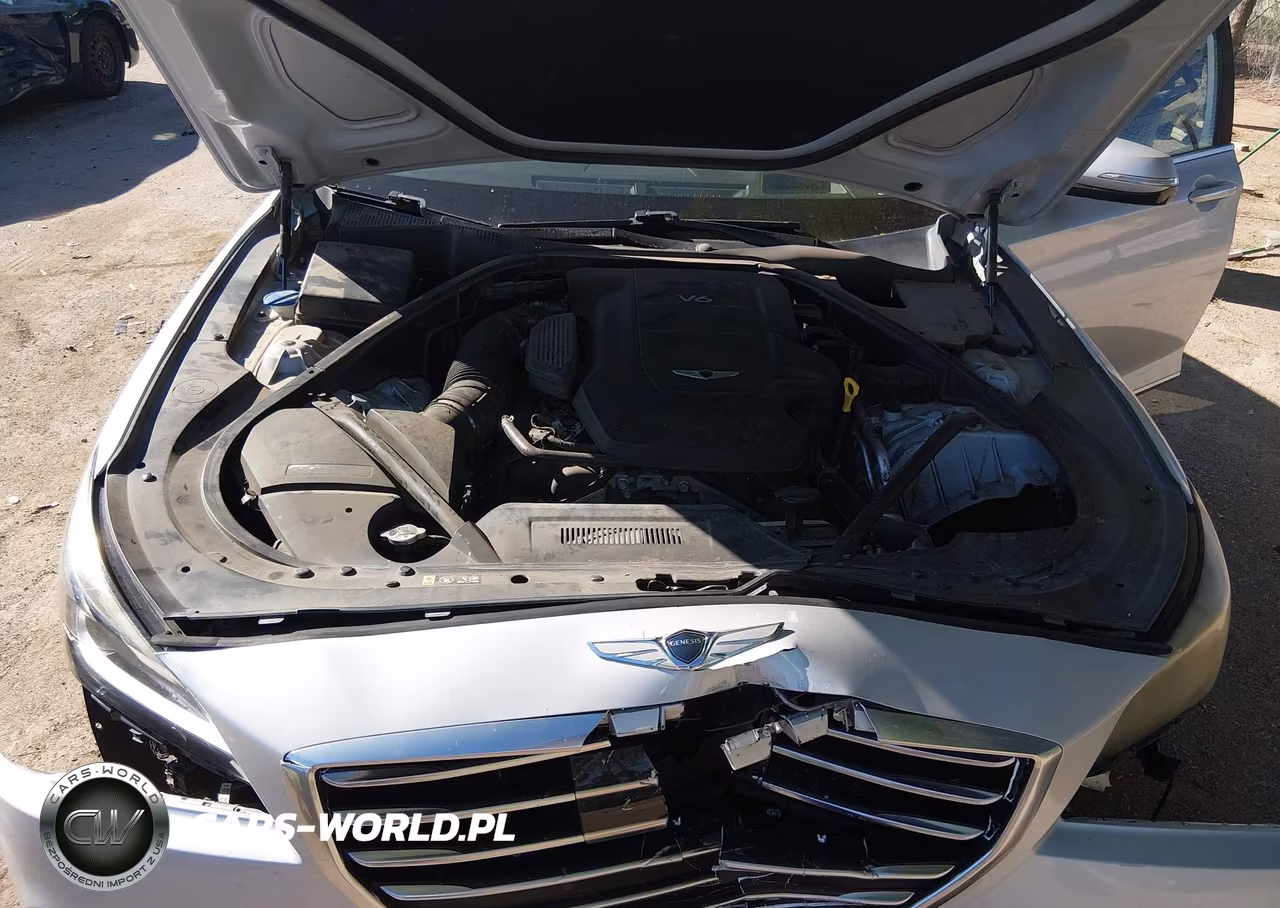 2017 Genesis G80 3.8 VIN:KMHGN4JE7HU177467 - 10