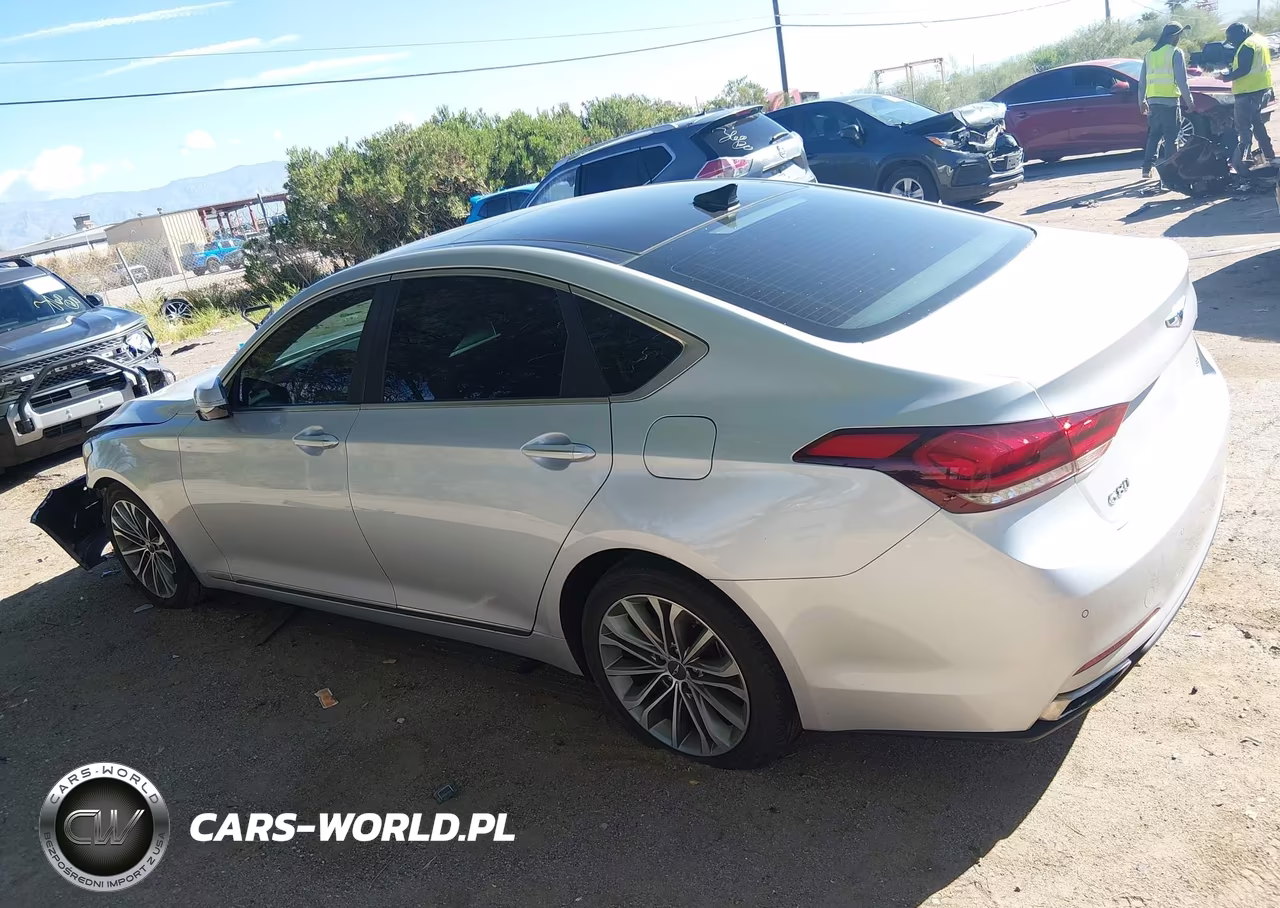 2017 Genesis G80 3.8 VIN:KMHGN4JE7HU177467 - 14