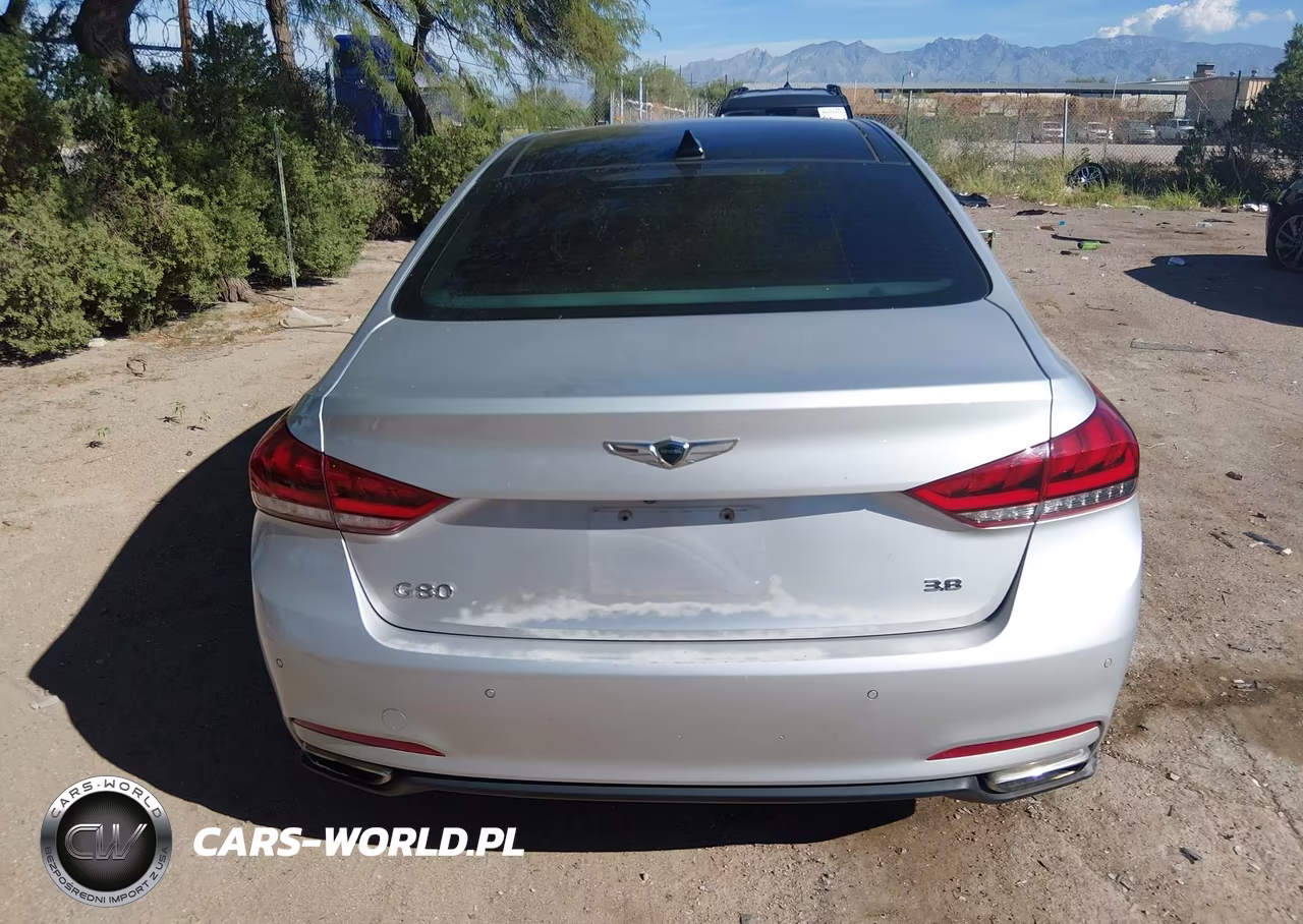 2017 Genesis G80 3.8 VIN:KMHGN4JE7HU177467 - 16