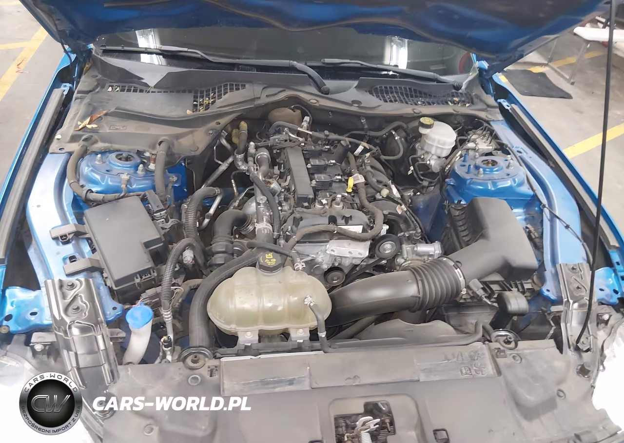 2021 Ford Mustang Ecoboost Fastback VIN:1FA6P8TH0M5109823 - 10