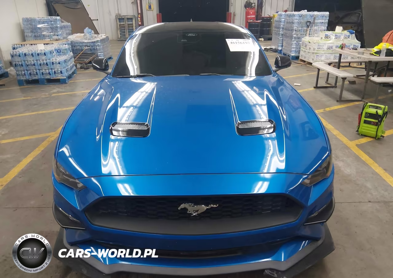 2021 Ford Mustang Ecoboost Fastback VIN:1FA6P8TH0M5109823 - 12