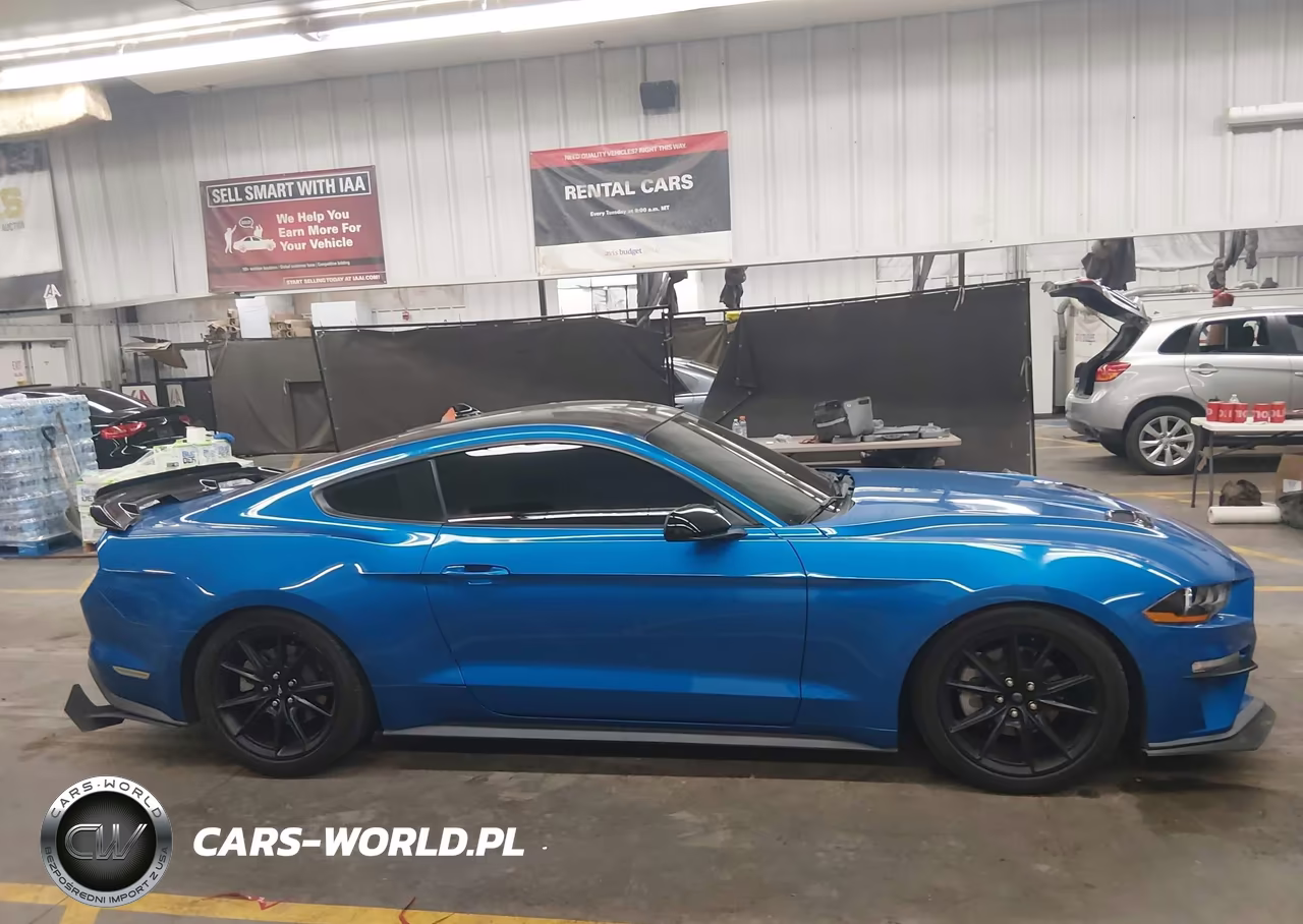 2021 Ford Mustang Ecoboost Fastback VIN:1FA6P8TH0M5109823 - 13
