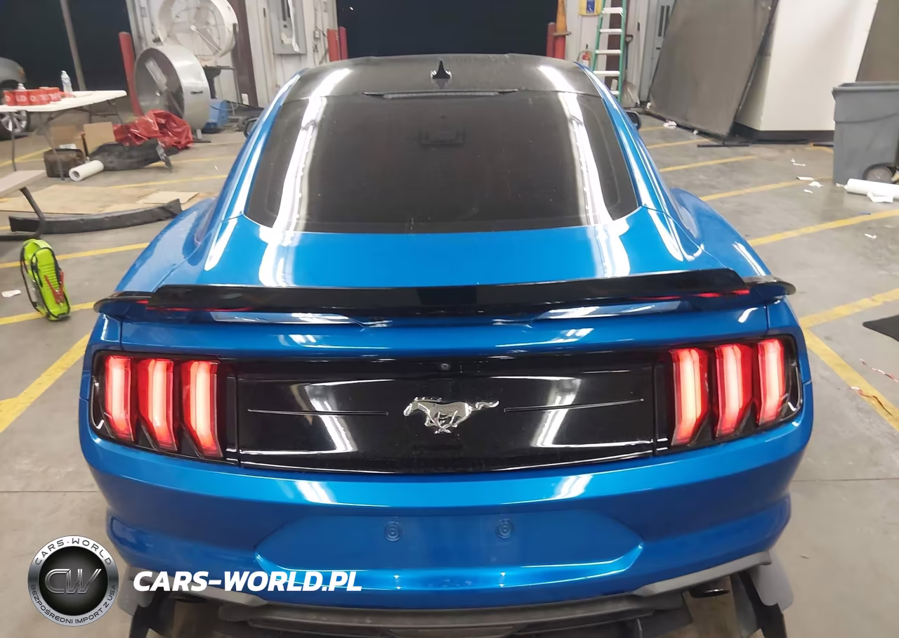 2021 Ford Mustang Ecoboost Fastback VIN:1FA6P8TH0M5109823 - 16