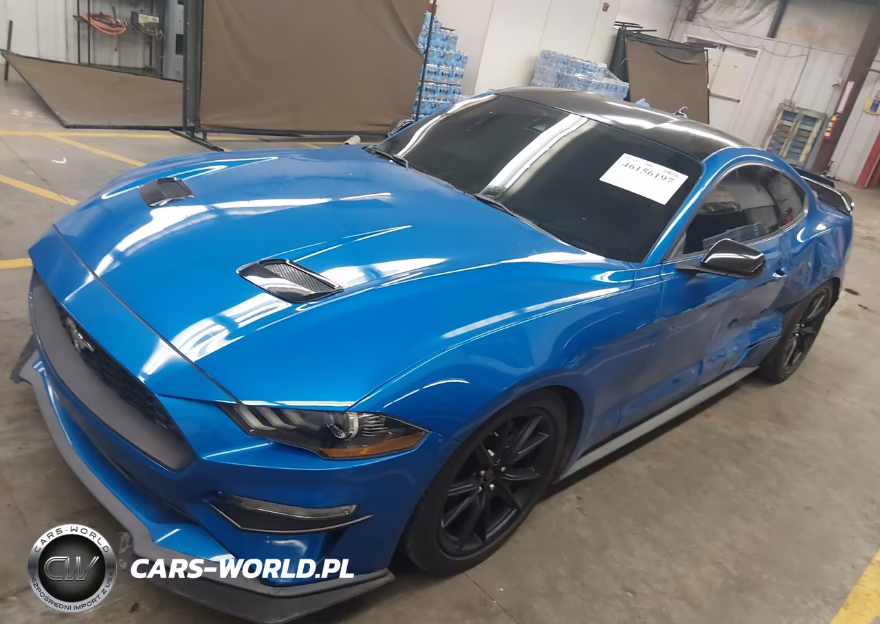2021 Ford Mustang Ecoboost Fastback VIN:1FA6P8TH0M5109823 - 2